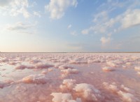海塩とピンクソルト:違い、利点、用途 