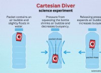 デカルトダイバー実験:浮力とボイルの法則の探求 