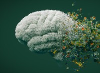 死を理解する:死の科学的探求 