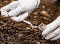 表土と鉢植えの土:ガーデニングと芝生の手入れに関する科学的比較 