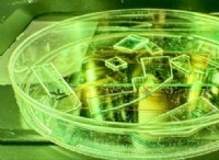 科学者によって開発されたウイルス破壊フィルム – 細菌予防における画期的な進歩 