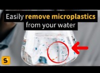 飲料水からマイクロプラスチックを除去するための効果的なDIY方法 - 2024年の調査 