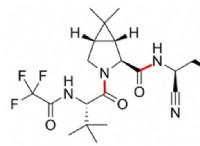 新型コロナウイルス感染症の治療薬:生化学とメカニズムの詳細 
